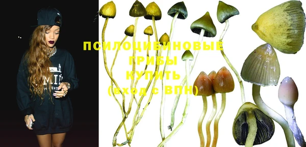 индика Нягань