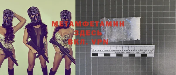 индика Нягань
