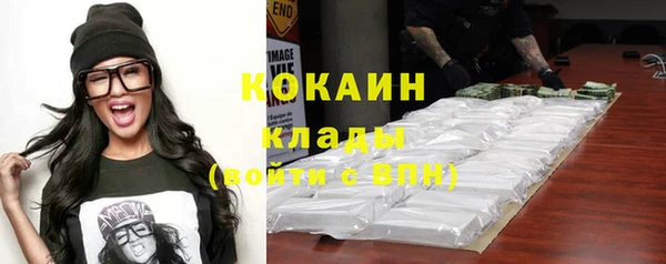 индика Нягань
