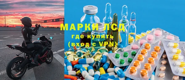 индика Нягань