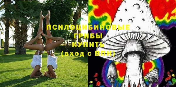 apvp Новодвинск