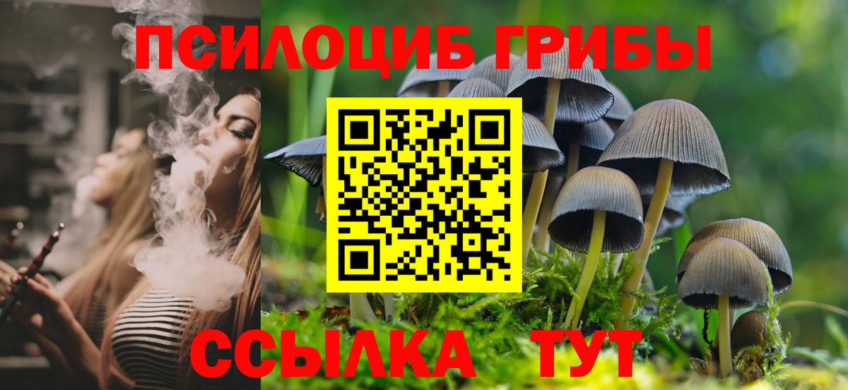 Псилоцибиновые грибы прущие грибы Курчалой