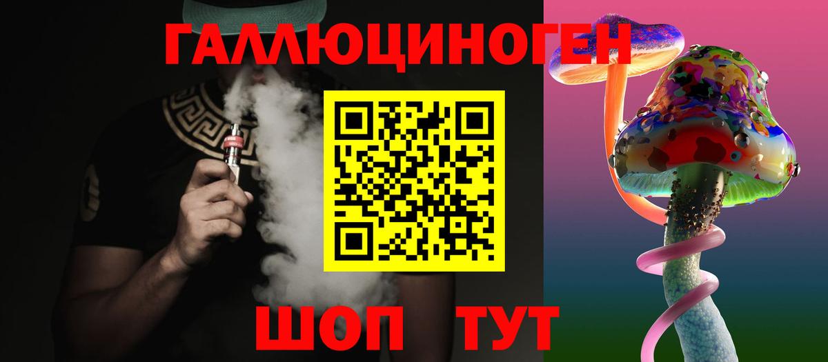 Курчалой  Псилоцибиновые грибы Psilocybe  Вход с VPN 